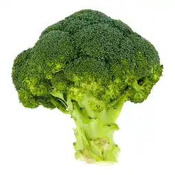 PLUS PLUS Broccoli aanbieding