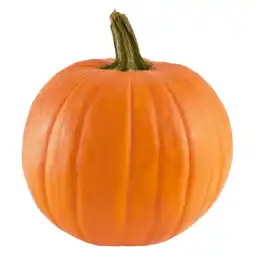 PLUS PLUS Halloweenpompoen aanbieding