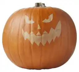 PLUS PLUS Halloweenpompoen aanbieding