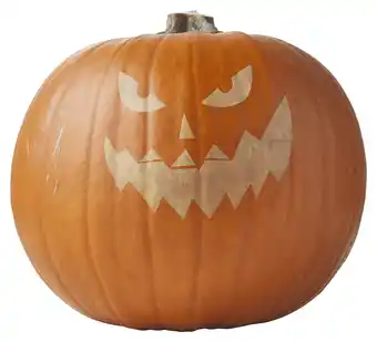 PLUS PLUS Halloweenpompoen aanbieding