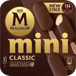 Dekamarkt Ola Magnum mini classic 3 st aanbieding