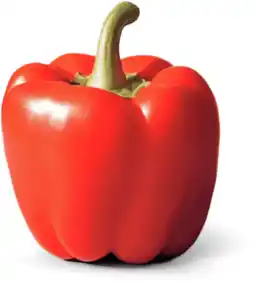 Dirk Paprika rood aanbieding