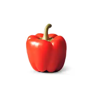 Dirk Paprika rood aanbieding