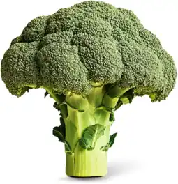 Dirk Broccoli los aanbieding