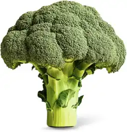 Dirk Broccoli los aanbieding