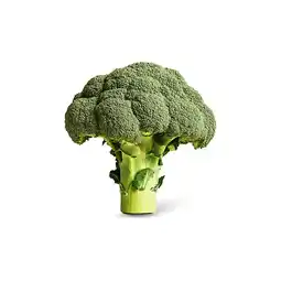 Dirk Broccoli los aanbieding