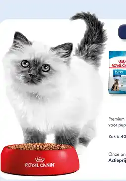 Huisdier Voordeelshop Royal Canin kitten aanbieding