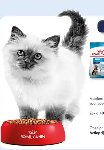 Huisdier Voordeelshop Royal Canin kitten aanbieding