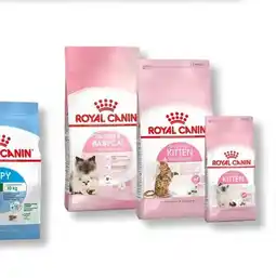 Huisdier Voordeelshop Royal Canin kitten aanbieding