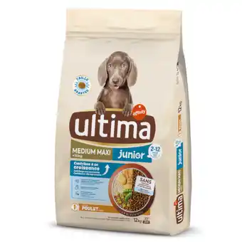 Zooplus 10 kg + 2 kg gratis Ultima honden droogvoer - Medium / Maxi Junior Kip 12 kg aanbieding