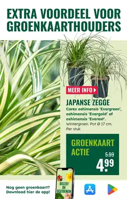 GroenRijk Japanse zegge aanbieding