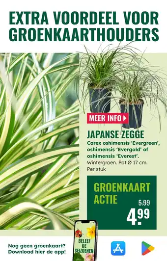 GroenRijk Japanse zegge aanbieding