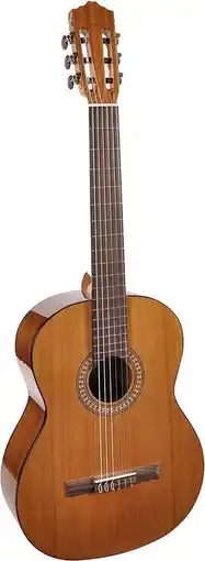 Bol.com Salvador Cortez CC-22 klassieke gitaar met massief ceder bovenblad aanbieding