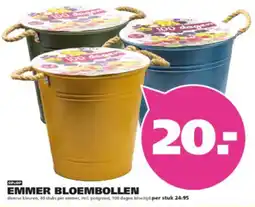 Ranzijn Emmer bloembollen aanbieding