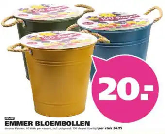 Ranzijn Emmer bloembollen aanbieding