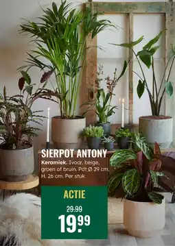 GroenRijk Sierpot Antony aanbieding