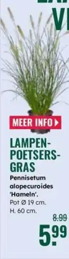 GroenRijk Lampen poetsers Gras aanbieding