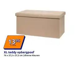 Action XL teddy opbergpoef aanbieding