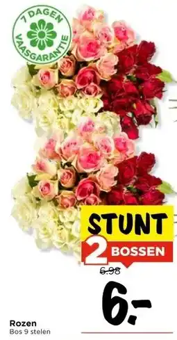 Vomar Voordeelmarkt Rozen aanbieding