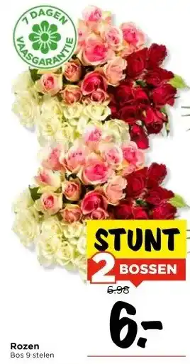 Vomar Voordeelmarkt Rozen aanbieding