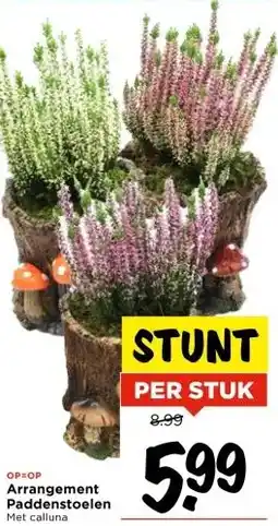 Vomar Voordeelmarkt Arrangement Paddenstoelen aanbieding