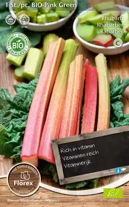 Intratuin Florex bio rabarber (Rheum 'Pink Green') aanbieding