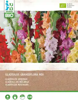 Intratuin Intratuin biologische bloembollen Gladiool (Gladiolus grandiflora) gemengd 25 stuks aanbieding