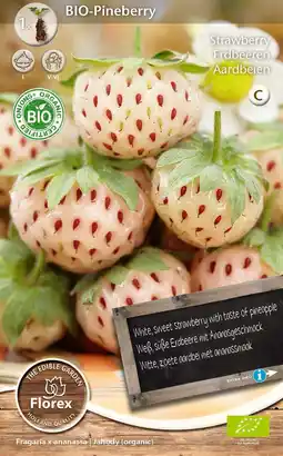Intratuin Florex bio aardbeien (Fragaria 'Pineberry') aanbieding