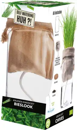 Intratuin Florex Biologische kruidenset Bieslook (Allium schoenoprasum) zelf bewaterend aanbieding