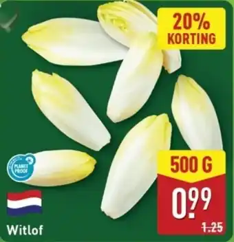 ALDI Witlof aanbieding