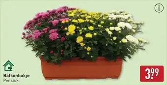 ALDI Balkonbakje aanbieding