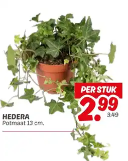 Dekamarkt Hedera aanbieding