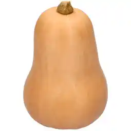 Dirk 1 de Beste Flespompoen aanbieding