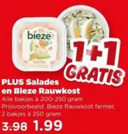 PLUS PLUS Saladesen en Bieze Rauwkost aanbieding