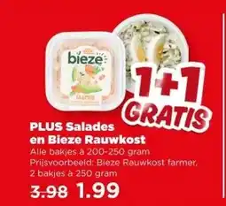 PLUS PLUS Saladesen en Bieze Rauwkost aanbieding