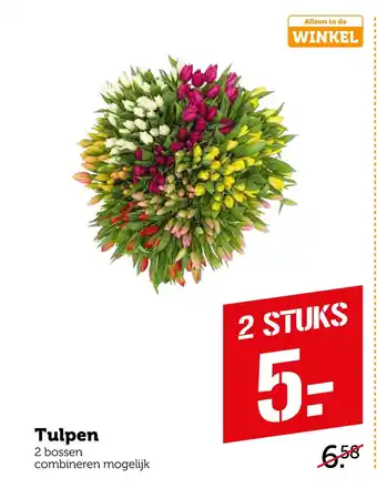 Coop Tulpen aanbieding