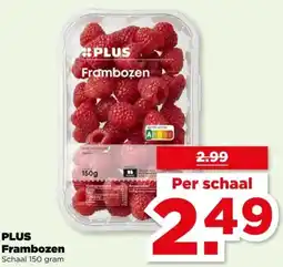 PLUS PLUS Frambozen aanbieding