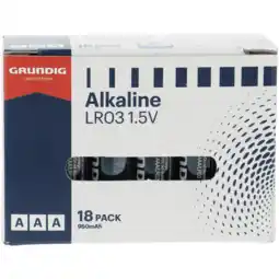 Dirk Grundig Batterijen AAA aanbieding
