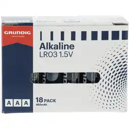 Dirk Grundig Batterijen AAA aanbieding