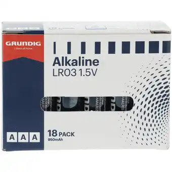 Dirk Grundig Batterijen AAA aanbieding