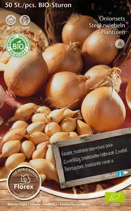 Intratuin Florex bio pootui (Allium 'Sturon') 50 stuks aanbieding