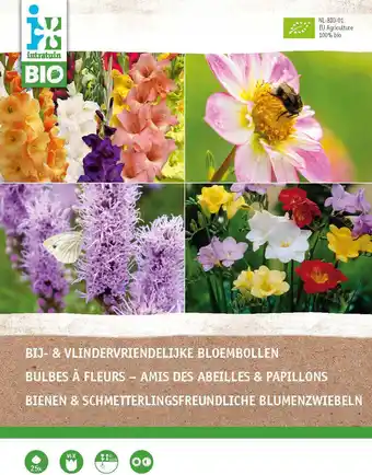 Intratuin Intratuin biologische bloembollen bijen en vlindervriendelijk 25 stuks aanbieding