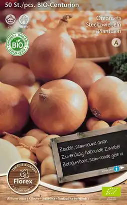 Intratuin Florex bio pootui (Allium 'Centurion') 50 stuks aanbieding