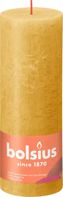PLUS Bolsius Rustiek stompkaars 190/68 Honeycomb aanbieding