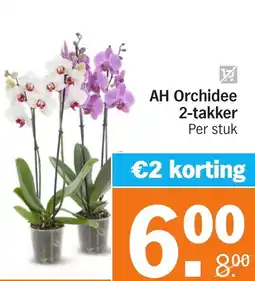 Albert Heijn AH Orchidee 2-takker aanbieding