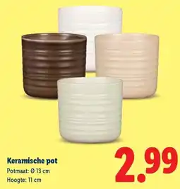 Lidl Keramische pot aanbieding