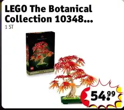 Kruidvat LEGO The Botanical Collection 10348 aanbieding