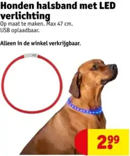 Kruidvat Honden halsband met LED verlichting aanbieding