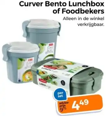 Trekpleister Curver Bento Lunchbox of Foodbekers aanbieding