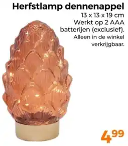 Trekpleister Herfstlamp dennenappel aanbieding